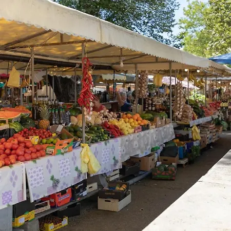 Apartment Agava Lux *